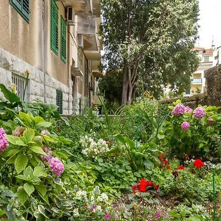 With Wifi - 12154 * Split