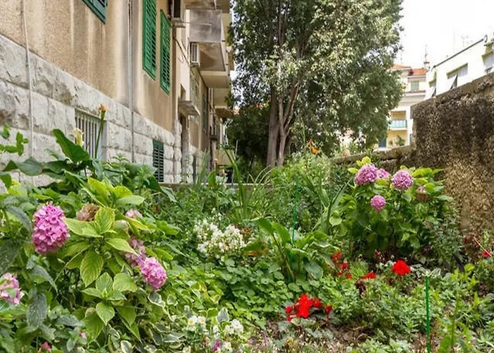 With Wifi - 12154 * 斯普利特