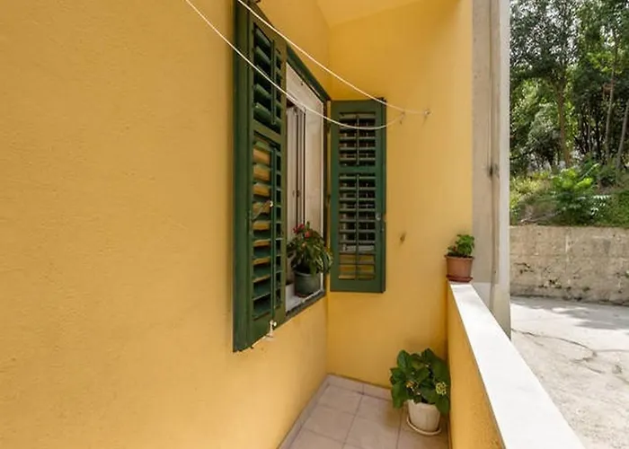 With Wifi - 12154 * 斯普利特